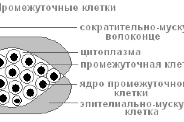 Правила модераторов кракен площадка