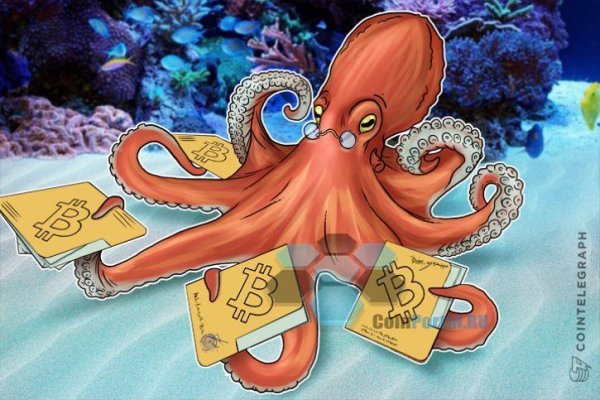 Kraken tor link