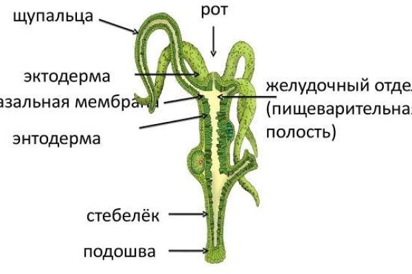 Кракен ссылка что это