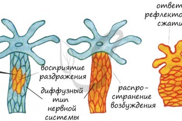 Кракен даркнет плейс