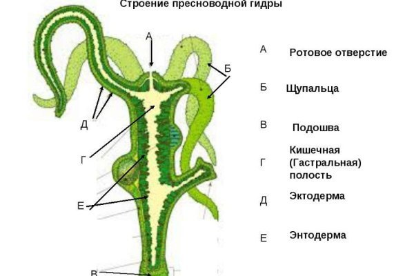 Запрещенный сайт кракен