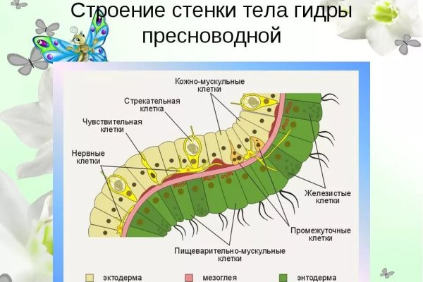 Как войти в кракен