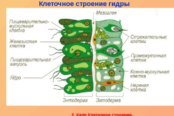 Ссылка на даркнет в тор