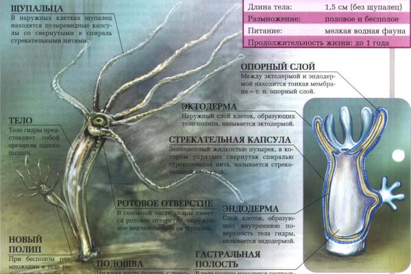 Кракен маркет что