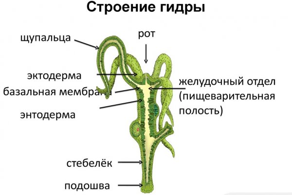 Кракен что там продают