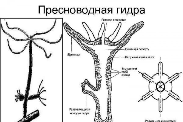 Как зайти на кракен тор